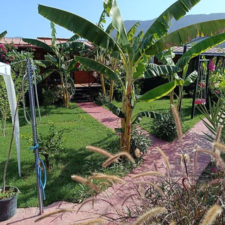 Arlin Bungalows Κεμέρ Εξωτερικό φωτογραφία